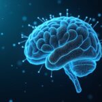 Wie Embeddings KI-Systeme intelligenter machen